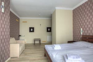 Отель Forest Hill Hotel & Spa. Комфорт двухместный DBL Superior 2