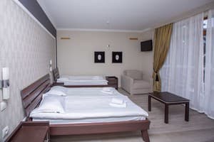 Отель Forest Hill Hotel & Spa. Комфорт трехместный TRPL Superior 3