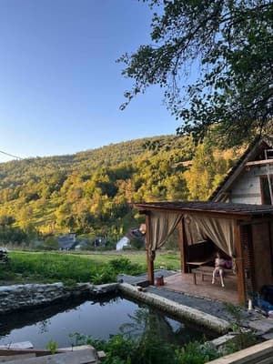 Forest House 17