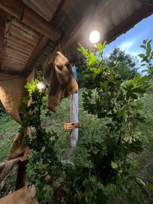 Forest House 15