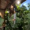 Forest House 15-16/20