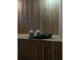 Forest House 12