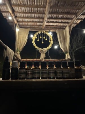Forest House 18