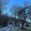 Forest House 11-12/20