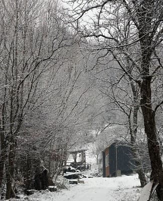 Forest House 14