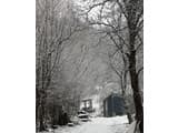 Forest House 14