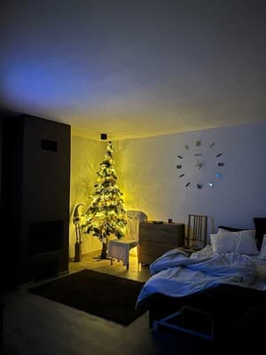 Forest House 5
