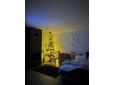 Forest House 5