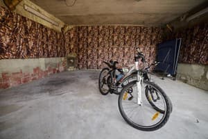 Forest House exclusive 22