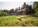 Forest House exclusive 23