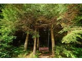 Forest House exclusive 16