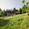Forest House exclusive 26-27/27