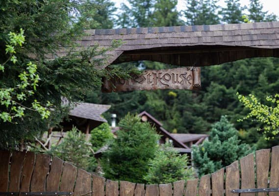 Forest House exclusive 18