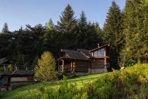 Forest House exclusive 15