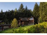 Forest House exclusive 15