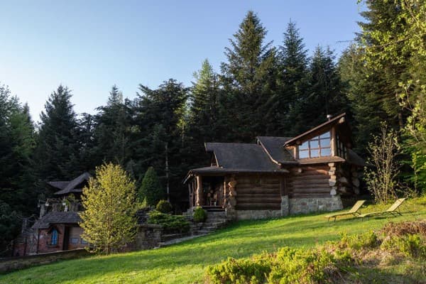 Forest House exclusive 19