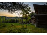 Forest House exclusive 24