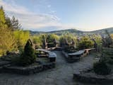 Forest House exclusive 14
