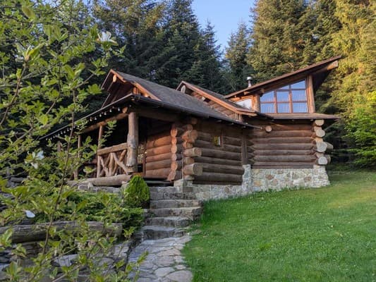Forest House exclusive 25