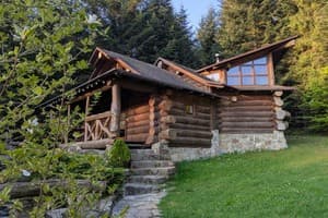 Forest House exclusive 25