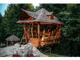 Forest House exclusive 12