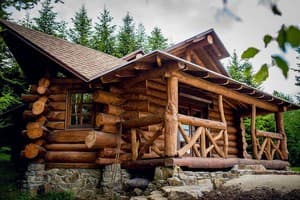 Коттедж Forest House exclusive. Коттедж 4-местный  2