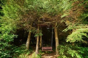 Коттедж Forest House exclusive. Коттедж 4-местный  15