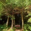 Коттедж Forest House exclusive. Коттедж 4-местный  15