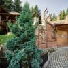 Коттедж Forest House exclusive. Коттедж 4-местный  16