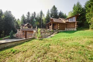 Коттедж Forest House exclusive. Коттедж 4-местный  20