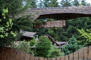 Коттедж Forest House exclusive. Коттедж 4-местный  24