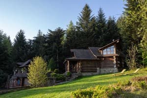 Коттедж Forest House exclusive. Коттедж 4-местный  23