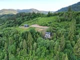Forest Hub 25