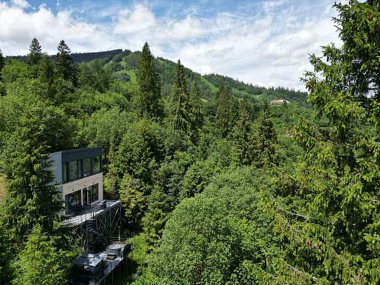 Forest Hub 14