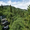 Forest Hub 14-15/33
