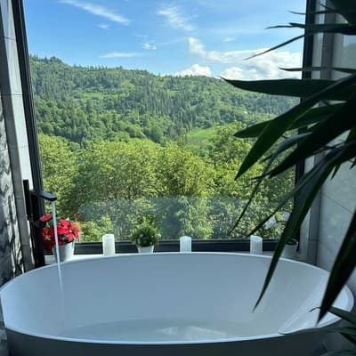 Forest Hub 12