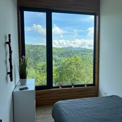 Forest Hub 21