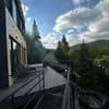 Forest Hub 24-25/33