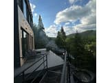 Forest Hub 24