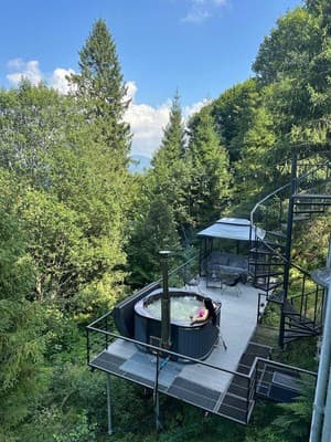 Forest Hub 2