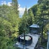 Forest Hub 2-3/33