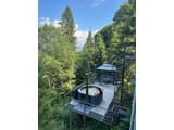 Forest Hub 2