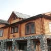 Forest house 5