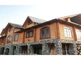 Forest house 5