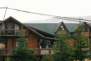 Forest house 6