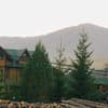 Forest house 9