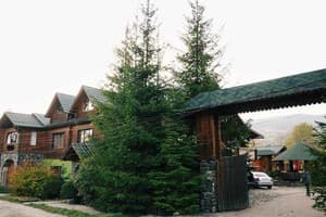 Forest house 8