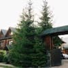 Forest house 8