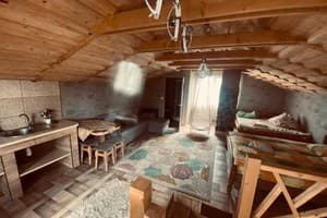 Forest house 19