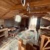 Forest house 19
